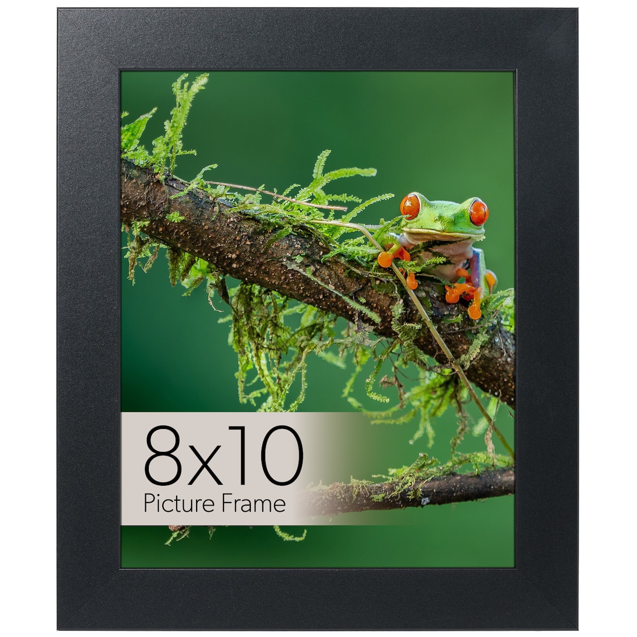 WallsThatSpeak Black Picture Frame with Easel and Glass
